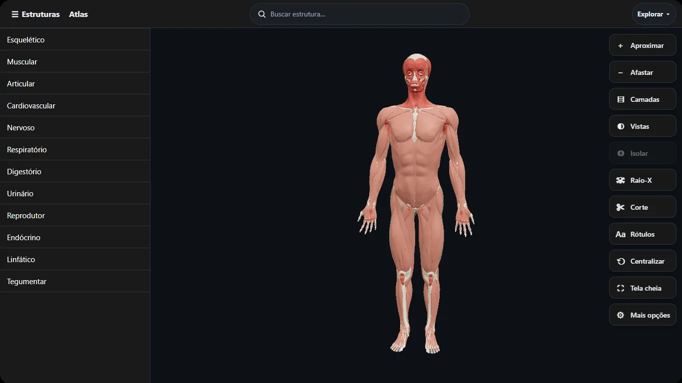 Atlas 3D com corpo humano em camadas musculares e lista de sistemas